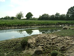 Medieval shipbuilding site on the River Hamble