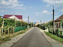 Street of Kolchyno