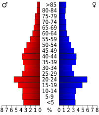 Pyramide des âges.