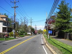 Photo of Adams along Cozzens Lane