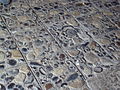 Floor with fossils in the Convent