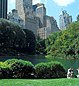 Central Park scenery