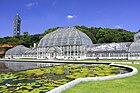 東山植物園温室前館 （2021年8月）