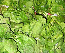 spinach (Spinacia oleracea)