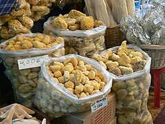 Natural sponges for sale in Crete