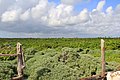 Veduta tal-pajsaġġ ta' Gżira ta' Cozumel (Isla de Cozumel)