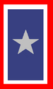 Silver Star Service Banner