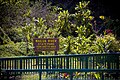 Fern Grotto