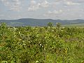 D Landschaft vo Nsele af da Grenz za Repablik Kongo.