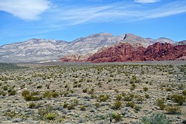 Desyerto de Mojave Kalifornia