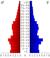 Bevolkingspiramide Bannock County