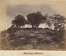 Cemetery on a hill with trees