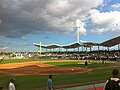 The Yankees take batting practice before a game