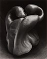 Image 97Pepper No. 30, by Edward Weston (edited by Bammesk) (from Wikipedia:Featured pictures/Artwork/Others)