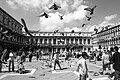 La place Saint-Marc et ses pigeons