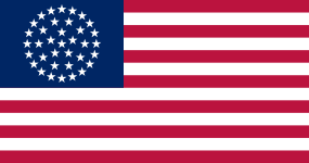 Wagon Wheel Flag (1865–1867)