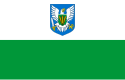 Bandeira do condado de Região de Viljandi Viljandimaa