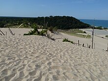 Warren Dunes.JPG