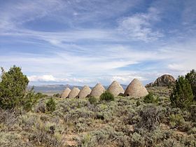 Charcoal ovens