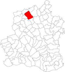 Location in Teleorman County