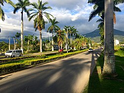 Palmas Avenue, Center