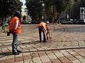 Manutenzione binari / Rails maintenance.