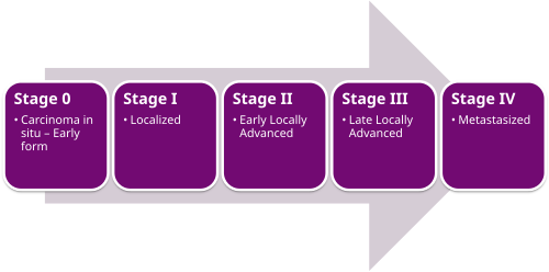 Cancer Stages