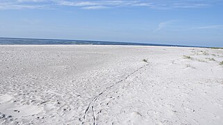 Dueodde beach