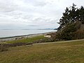 Looking down grassy hillside towards beach on cloudy day