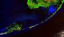 Florida keys from space.jpg