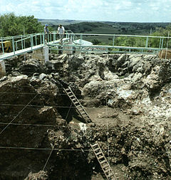 Arkeologer ovanför ingången till Sterkfontein.