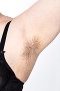 Natural underarm