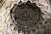 Domical ceiling art at Amrutesvara temple, Amruthapura