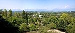 Panorama with vineyards