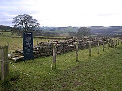 Hadrian's Wall at Planetrees