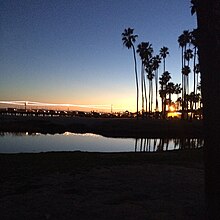 Santa Monica Pier from the side at sunset with palm trees in the distance.