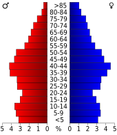 Bevolkingspiramide Person County