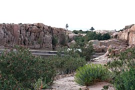 El valle Bakhdache de Laghouat.