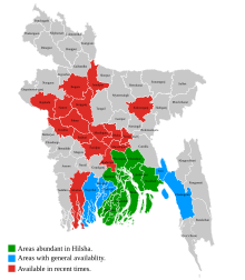 Abundance of Ilish in Bangladesh