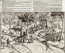 Engraving showing Dutch sailors working on Mauritius, as well as several local animals, including a dodo