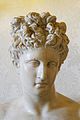 Bust of Apollo