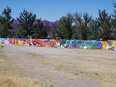 Mural de Dragon Ball Z en una calle de Aguascalientes 05.jpg