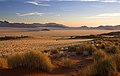 Namib Rand Nature Reserve