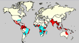 Levinneisyys (2006): sininen Aedes aegypti; punainen +denguekuume.