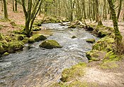 Dowr Fawi yn Koos Draynes - hen wedhek golldhel