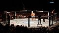 Image 3An octagon cage used by the UFC. (from Mixed martial arts)