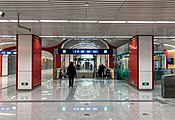 Line 8 Concourse