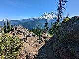 A snow-covered Mt. Rainier in the distance flanked by a sea of green trees with bare rock and shrubs in the foreground.