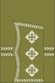 World War I captain's rank insignia (general pattern)