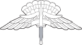 Military Freefall Parachutist Badge